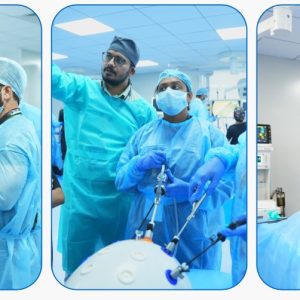Veterinary Laparoscopy & Endoscopy Skills Course