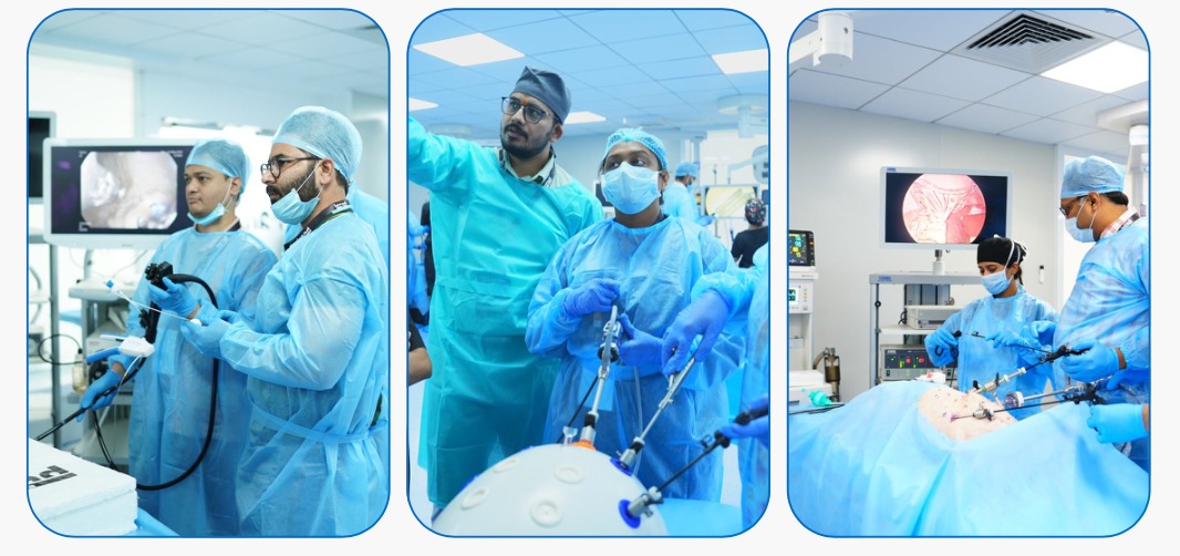 Veterinary Laparoscopy & Endoscopy Skills Course