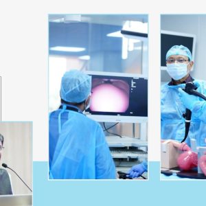 Hybrid Hands- on Basic Upper GI Endoscopy Training Course.