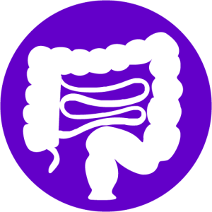 Colorectal, Transanal & Proctological Surgery