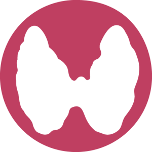 Endocrine