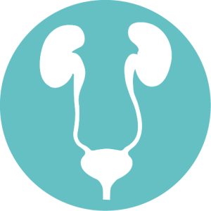 Urologic Surgery