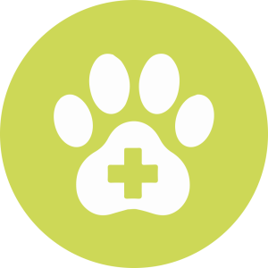 Veterinary Skills Course